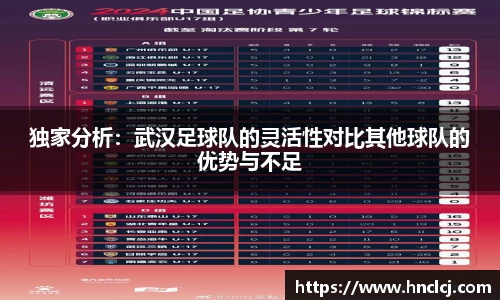 独家分析：武汉足球队的灵活性对比其他球队的优势与不足