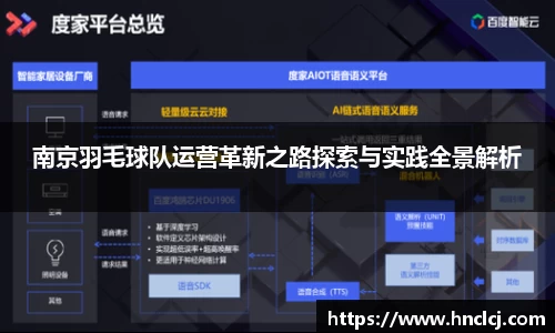 南京羽毛球队运营革新之路探索与实践全景解析