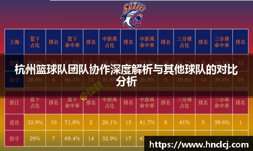 杭州篮球队团队协作深度解析与其他球队的对比分析